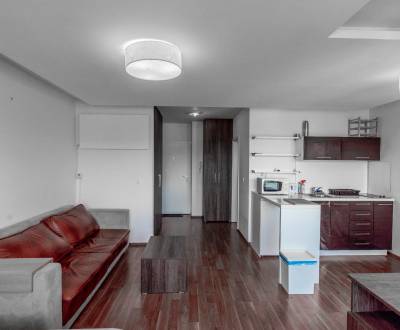 1-izbový byt s balkónom v novostavbe, Guothova ul., Kramáre, od 1.5.