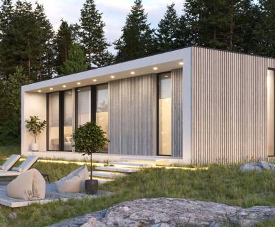 Fínske domy , Model Anix