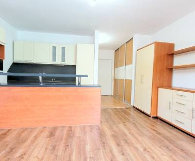Pekný 1i byt, predzáhradka, 2 x komora, parking, novostavba, Kalinkovo