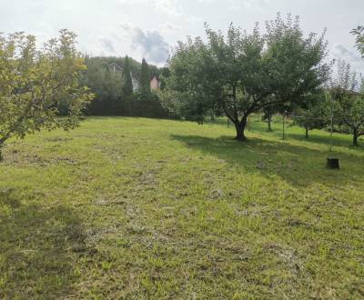 10624005 - Ponúkame Vám na predaj pozemky - záhrada v meste Snina.
