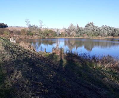 Pozemok orná pôda v obci Trávnica znížená cena