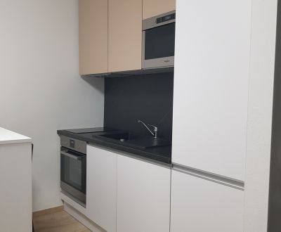 Prenajmeme nadštandardný 1-izbový byt, ul.1. mája, Vráble