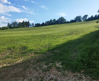 Znížená cena. Ponúkame na predaj pozemok 2556 m2 v Hornom Srní.