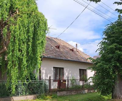 Rodinný dom a záhrada 1000 m2, Nový Tekov (SM -752)