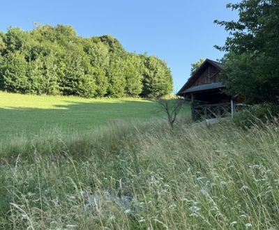 Veľký rekreačný pozemok s chatkou, Streženice (Púchov), 2400 m2