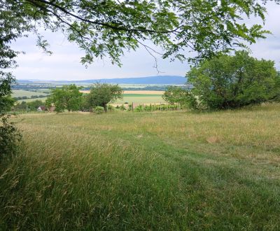 Na predaj záhrada 1413 m2, obec Pečenice, okres Levice