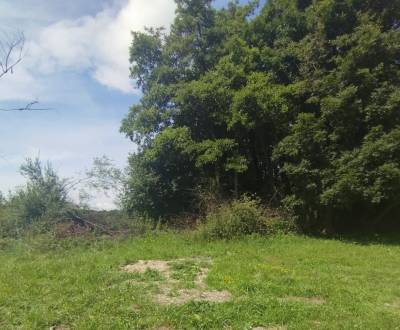 Predaj ! pozemok 720m2 (41mx17m) Pavčina Lehota-Liptovský Mikuláš