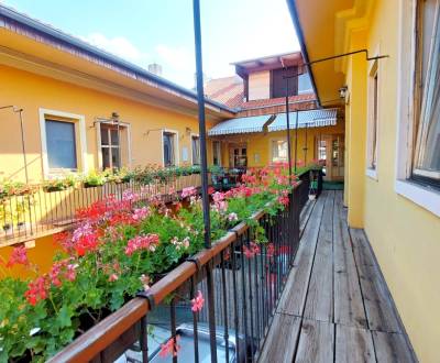 NA PRENÁJOM ZARIADENÝ 1 IZBOVÝ BYT, CENTRUM PO, ul. SlOVENSKÁ.