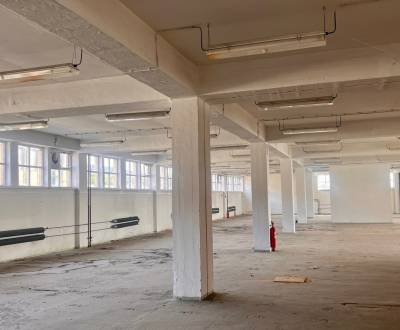 Prenájom sklady Rača, rôzne výmery od 170m2 - 1000m2