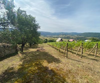 PREDAJ Nádherná vinica s chatkou, Hrušov