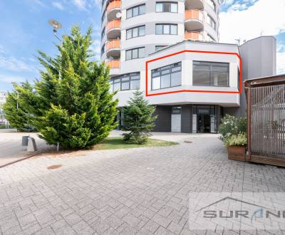 Nebytový priestor, 72 m², Mierové námestie - Galanta. Bez provízie RK