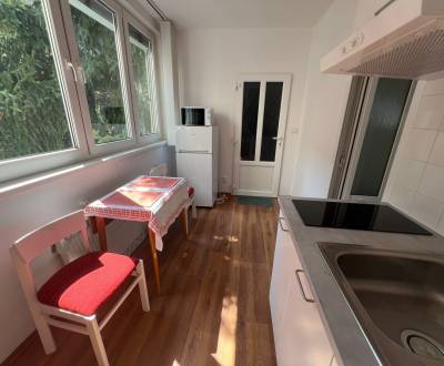 Prenájom 1 izbového bytu, 50 m2, na Ferienčíkovej ulici v Starom Meste