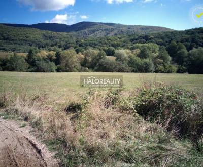 Predaj, pozemok pre rodinný dom   2791 m2 Seč - EXKL...