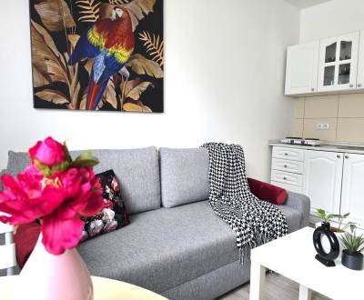 REZERVOVANÉ !!! Šikovná garsónka na Vilovej ul.