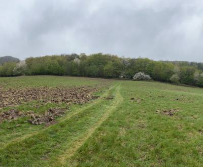 Ponúkam 11ha uceleného lesného pozemku s lúkami