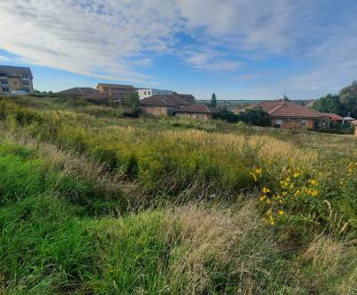 Rekreačný pozemok na predaj, 3797 m2, Podhájska - Svätuša