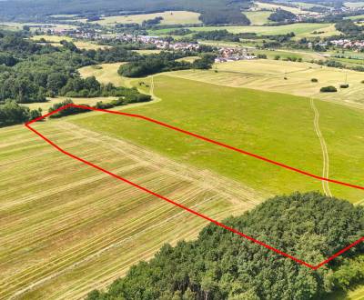 Veľká Čausa – 11.725 m2 ORNÁ PÔDA 1/1 s prístupom