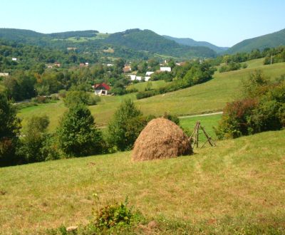Dolná Mariková – 10.126 m2 Spoluvlastnícke podiely na ornej pôde a les