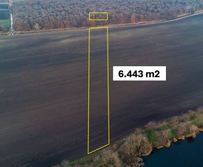 Vysoká pri Morave - 6.443 m2 ORNÁ PÔDA a LES v pozemkových úpravách