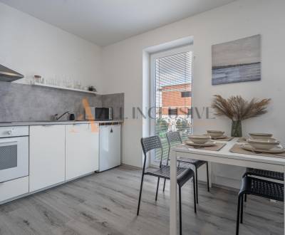 ALL INCLUSIVE I 2- IZBOVÝ BYT S TERASOU NA  PRENÁJOM  - GALANTA