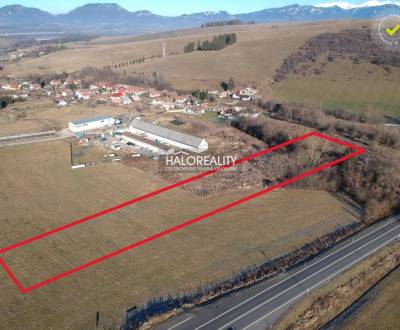 Predaj, pozemok pre rodinný dom   4906 m2 Gôtovany, ...