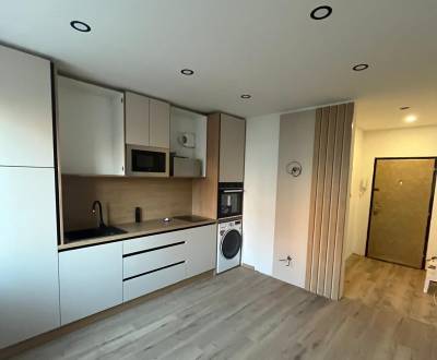 PRENÁJOM kompletne prerobeného 1 izbového bytu s balkónom sídl. JUH NZ