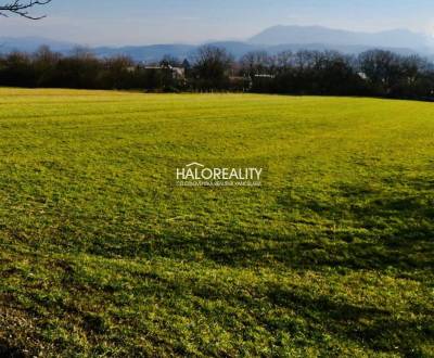 Predaj, pozemok pre rodinný dom 2382 m2 Lednické Rovne