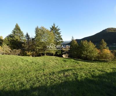 Predaj, rodinný dom Nová Baňa, pozemok 35.813 m2 - Z...