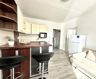 PRENAJATÝ/ NA PRENÁJOM 1,5 IZB. BYT, SENICA - SOTINÁ