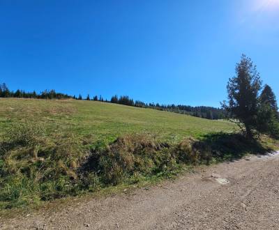 POZEMOK, DOBŠINÁ, OKR. ROŽŇAVA