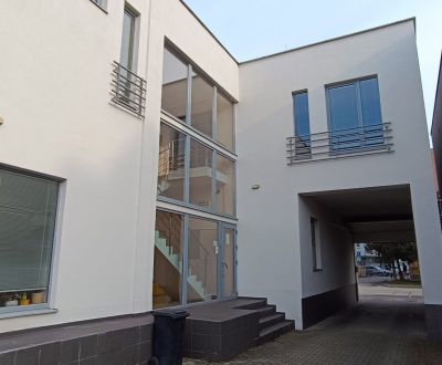 Reprezentačný  nájom, 11,09 m²,  Galanta, centrum