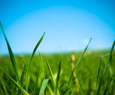 Stavebný pozemok na predaj, 11 á