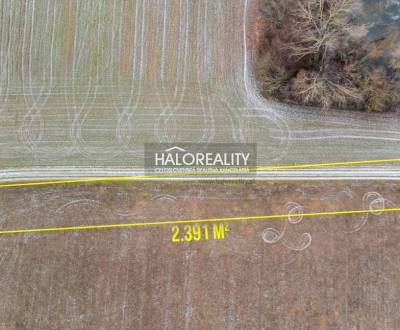 Predaj, pozemok   2391 m2 Vištuk - EXKLUZÍVNE HALO R...