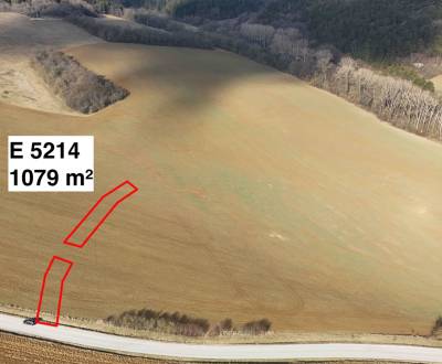 Lubina – Poľnohospodárska pôda v podiele 1/1