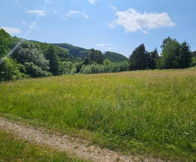 Stavebný pozemok 3.500 m2 Zvolen obec Kalinka Detva na predaj
