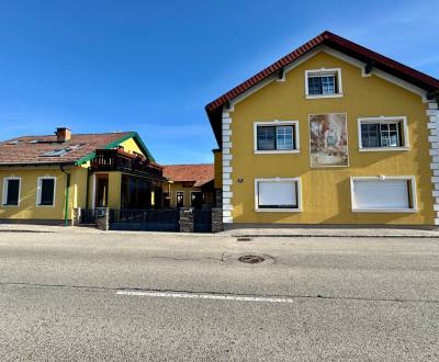 Predaj 2 rodinné domy s krásnou záhradou,jazierkom a bazénom v Rakúsku