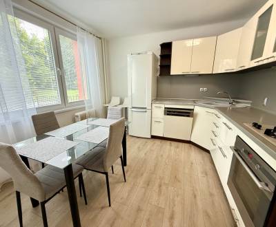 PRENAJATÝ/NA PRENÁJOM 2-IZB. BYT ROBOTNÍCKA UL., SENICA