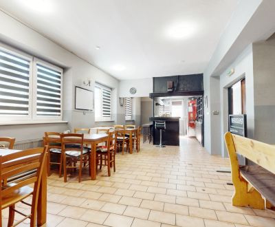 Obchodný priestor 290m2 s pivnicou  | Bánovce nad Bebravou 
