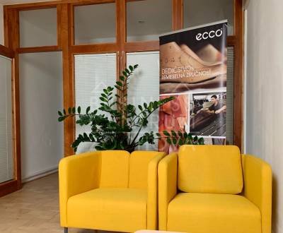 Prenájom kancelárií v centre, Zochova ul., 117,5 m2 