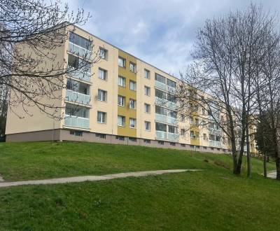 PREDANÉ: ozvite sa, predám aj Vašu NEHNUTEĽNOSŤ 