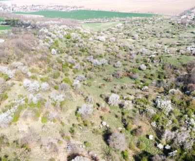 PREDAJ-KUS KRAJINY pozemok s rozlohou 296 451 m² Čifáre pri Nitre