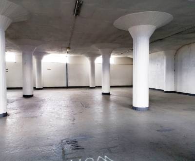 Sklad na prenájom Martin Priekopa 653 m2