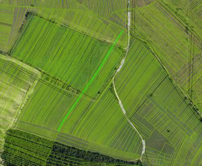 NA PREDAJ poľnohospodárska pôda 1.651 m2 v podiele 1/1 v Lozorne