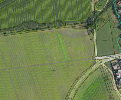 NA PREDAJ poľnohospodárska pôda 367 m2 v podiele 1/1 v Lozorne