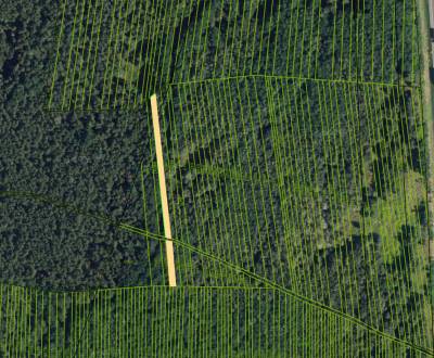 NA PREDAJ spoluvlastnícky podiel 1/2 na lesných pozemkoch v Lozorne