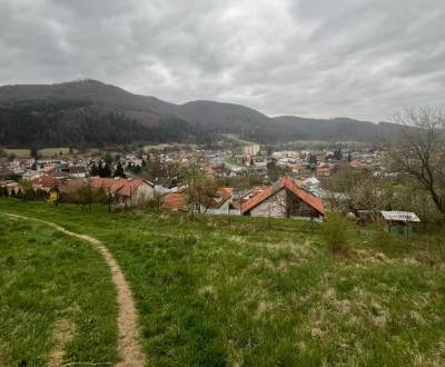 Záhrada: rozloha: 4236 m2, Brusno - krásny výhľad  