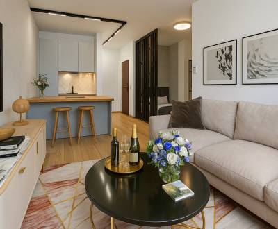 PRIUS | VYSOKÝ ŠTANDARD, PRIAME CENTRUM, TEPLICKÁ, POSLEDNÝ 1-IZB BYT