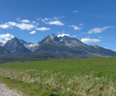 PREDAJ: Investičná príležitosť pozemok; Nová Lesná; 8044 m2