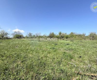 Predaj, záhradný pozemok   860 m2 Rybník - ZNÍŽENÁ CENA