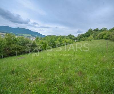 Rekreačný pozemok s rozostavanou chatkou – Kostolná-Záriečie, 